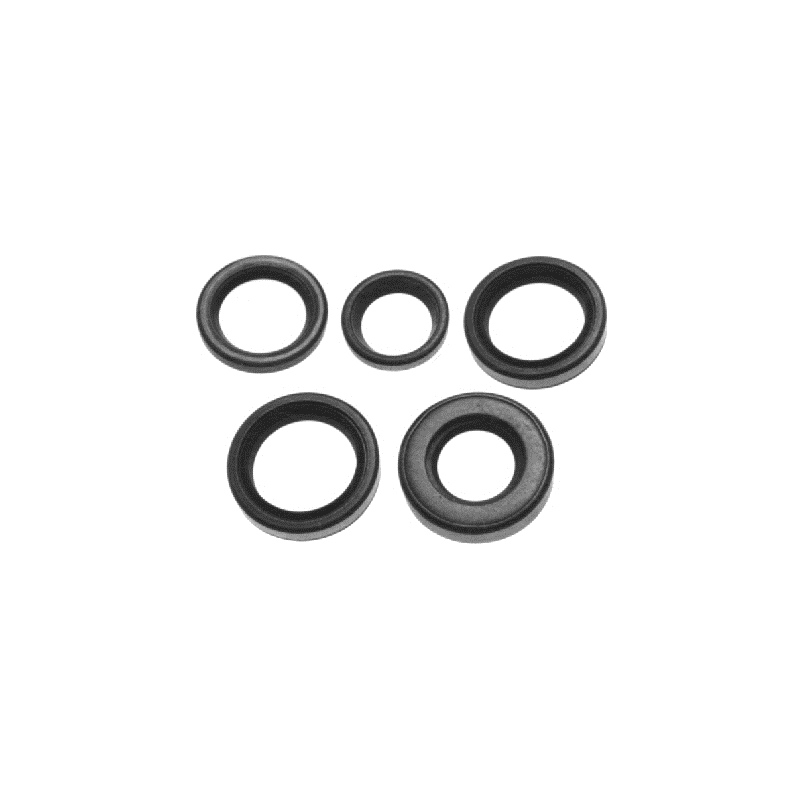 Sierra 18-2026 Seal 26-16977/om321453 55-024